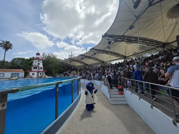 Apresentação Theo no Zoo